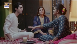 Pal Do Pal - Episode 17 - 12th August 2025